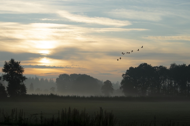 Dawn at Almelo The Netherlands 
