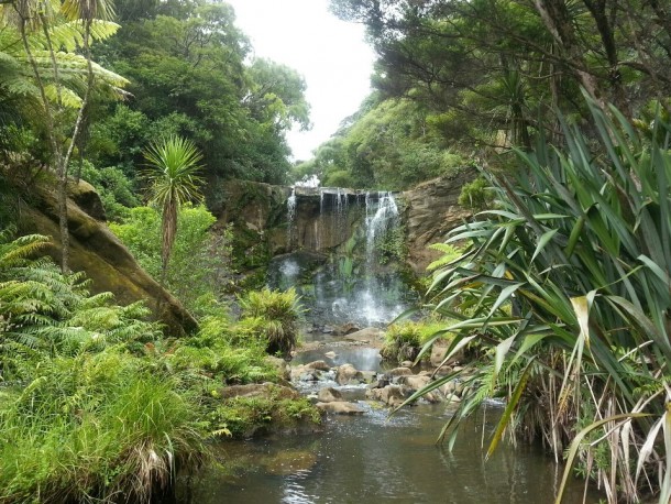 Day trip to see Mokoroa Falls So much to see in New Zealand you should come visit 