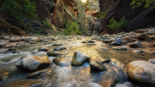 Daybreak - morning light is filtered upon the flowing water of The Narrows - Zion National Park Utah 