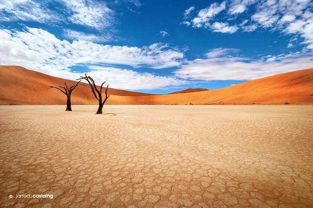 dead-valley-in-namibia-africa-photo-by-jarrod-castaing-x-post-from-rdesertporn--34579.jpg