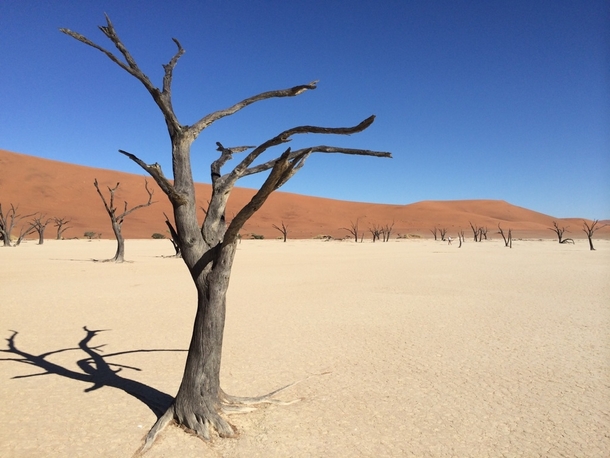 Dead Vlei Namib Desert Namibia 
