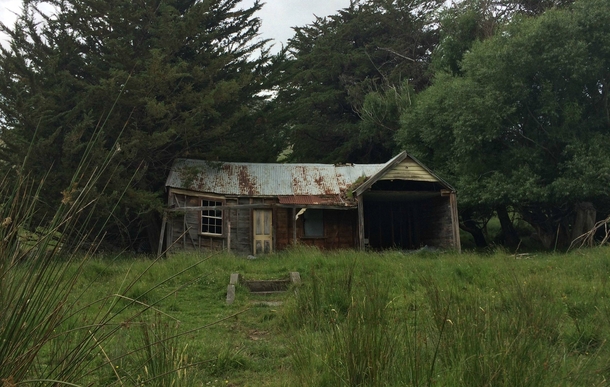 Decaying house near Little River Banks Peninsula New Zealand  OC