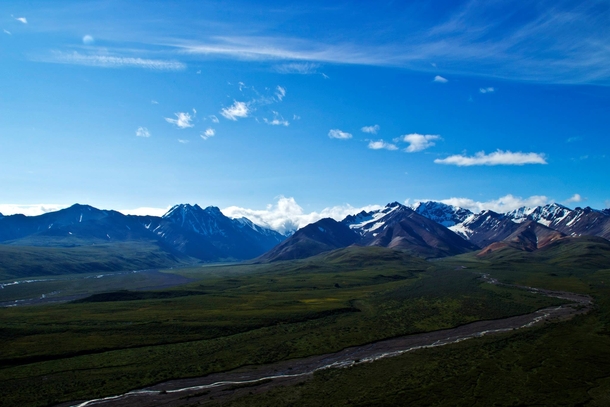 Denali National Park Alaska Photo taken by my brother 