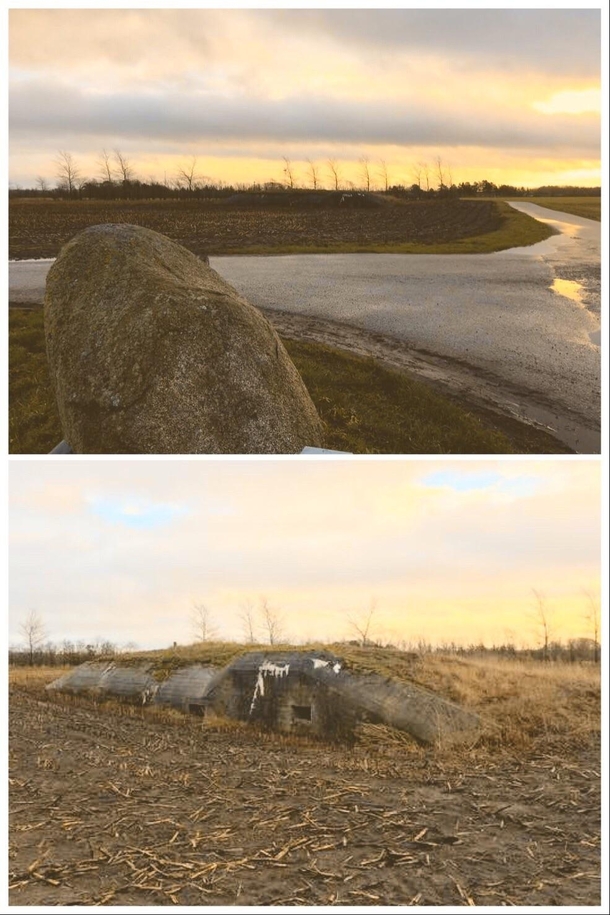 Denmark is full of old German WW bunkers many of them are forgotten and untouched Heres one in an muddy field it was used for radio communication It has sunk into the ground and probably hasnt been entered for decades