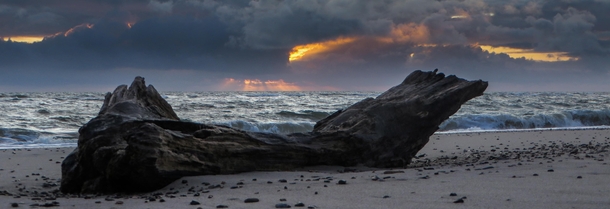 Denmark west coast at dawn 