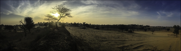Desert Landscape at Mahansar Rajasthan India 