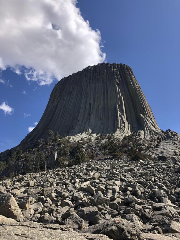 Devils Tower Wyoming USA 