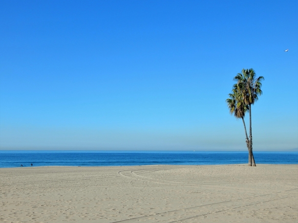 Dockweiler Beach in Los Angeles CA 