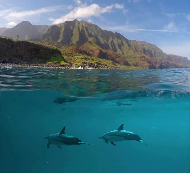 Dolphins under the waters near Na Pali Coast Kauai  x-post from rTravel_HD