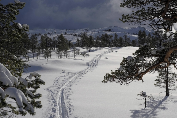 Dont mind the dark looming skies -- lets go skiing Mount Wolverine Nidaros Norway 