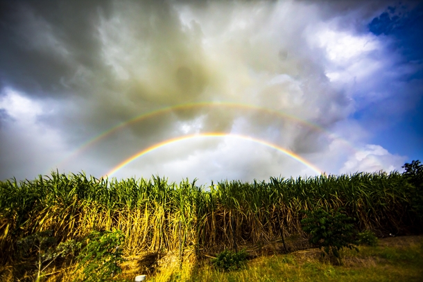 Double Rainbow over Cane Fields Pamplemousses Mauritius 