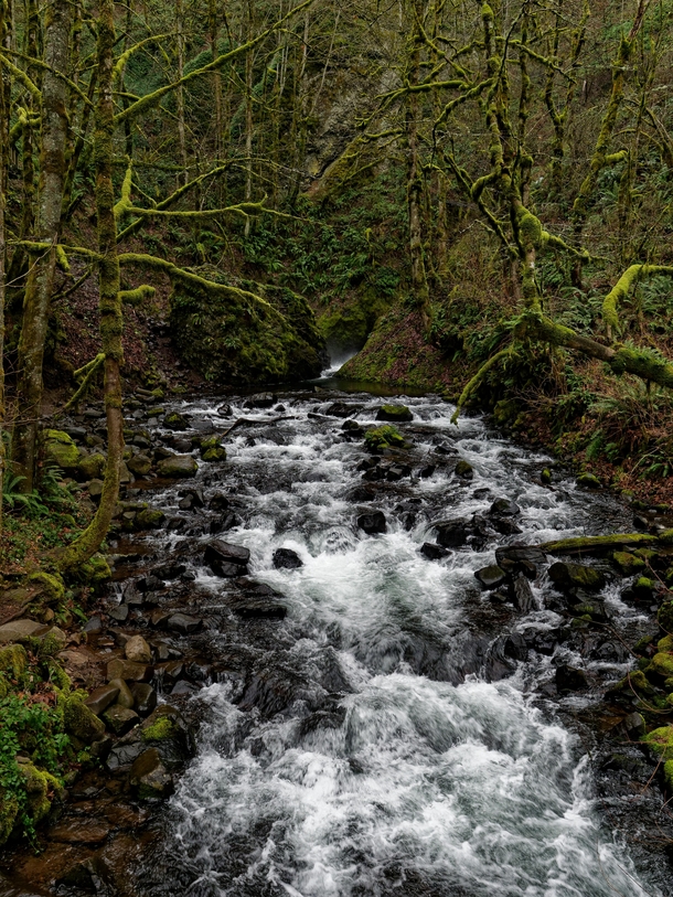 Downstream from Bridal Veil Falls Oregon 