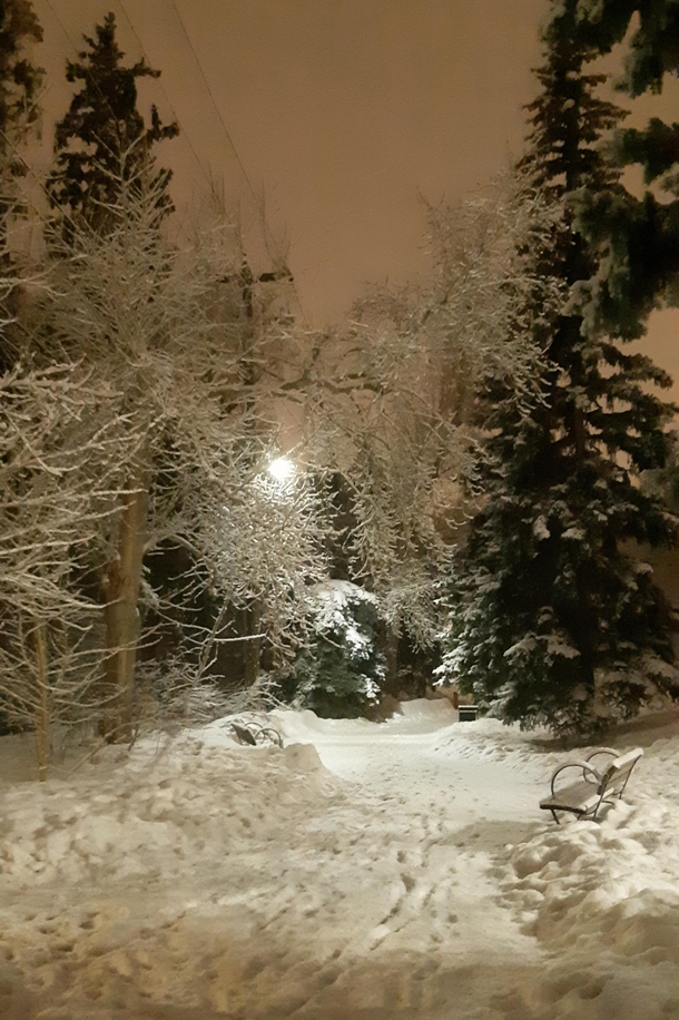 Downtown Park Trail at Night - Edmonton Canada
