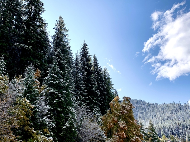 Dueling Seasons in Coeur dAlene Idaho  