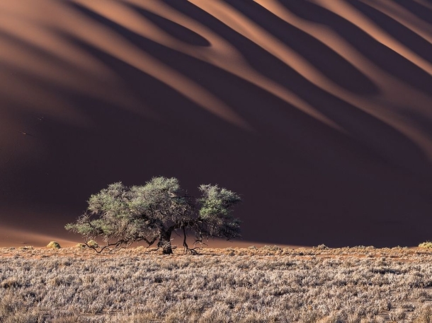 Dunes on Namib Desert photograph by Stas Bartnikas 