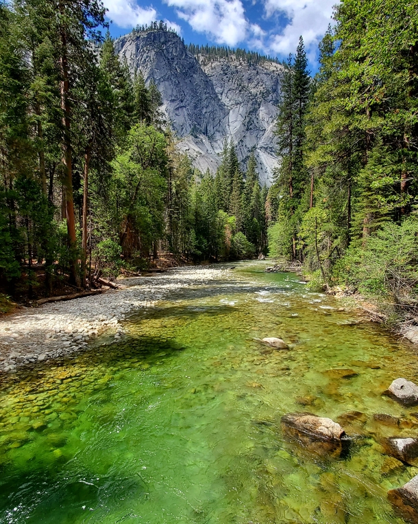 During hard times its nice to find solitude in nature Kings Canyon National Park CA USA 