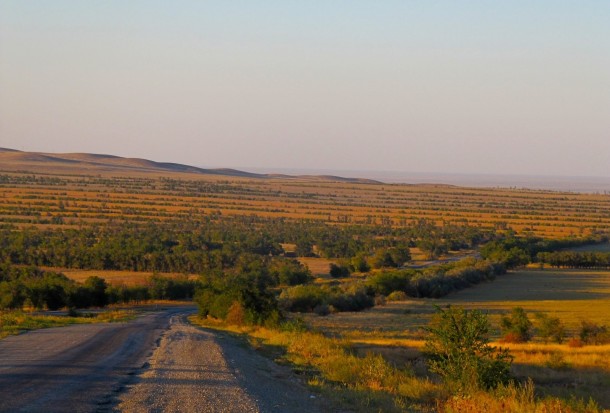 During the Soviet era hedges were planted into the Kazakh steppe in an attempt to convert it into farmland 