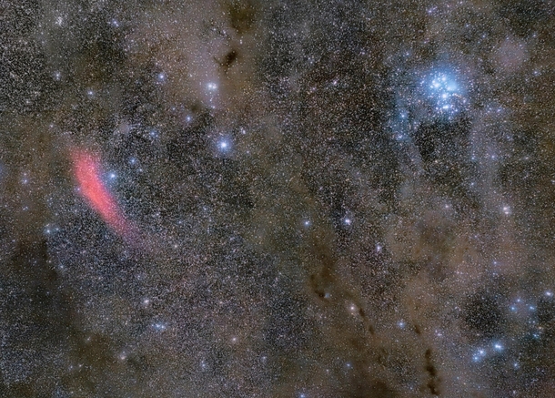 Dusty Pleiades and California Nebula