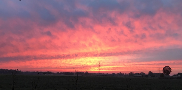 Dutch winter sunset