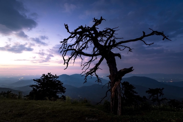 Early morning along the Blue Ridge Parkway in North Carolina by Serge Skiba 