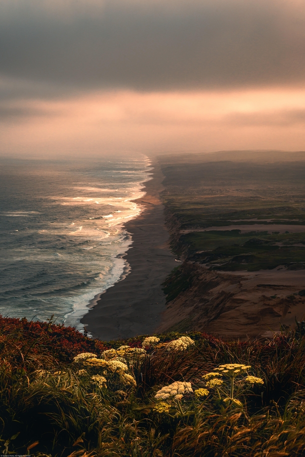 Early morning light along the coast One of my favorite photographs Point Reyes National Seashore CA