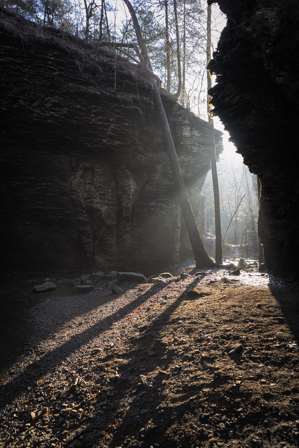 Early morning light in a grotto Richland Creek Wilderness AR USA 
