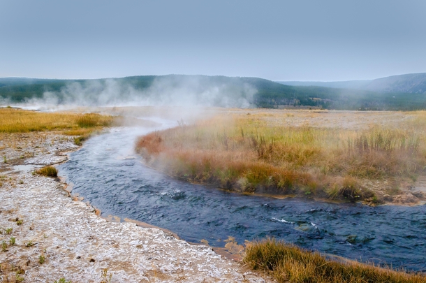 Early morning steam rising over a stream in Yellowstone National Park 