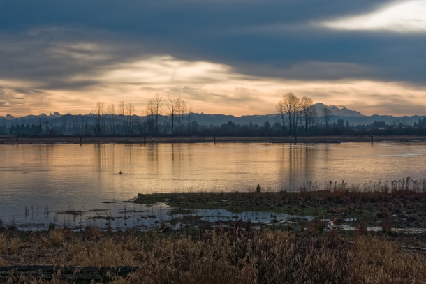 Early morning view of Mount Baker from Pitt Meadows British Columbia 