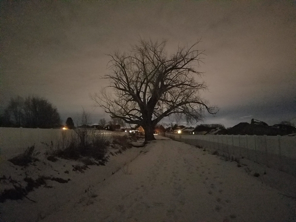 Earthporn hates lights so Ill try here This is a path along a irrigation canal in a SLC suburb