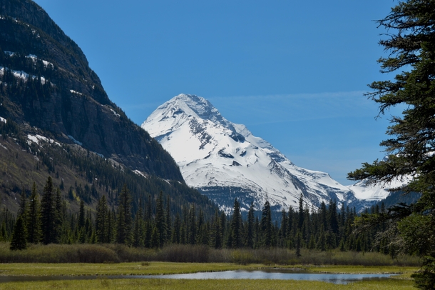Eastern Glacier National Park Montana view hiking to Florence Falls OC 