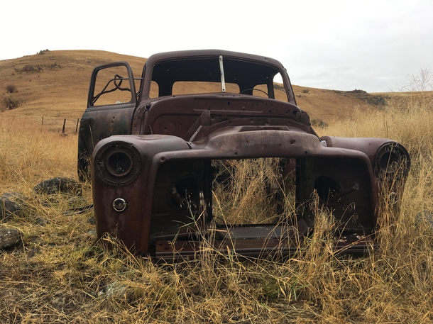 Eastern Oregon Pickup Truck in the Tall Grass