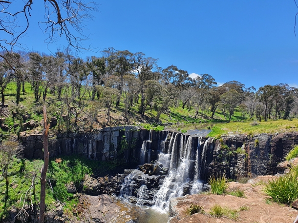 Ebor Falls NSW Australia really loving how life is fighting its way back after the Bush fires x 