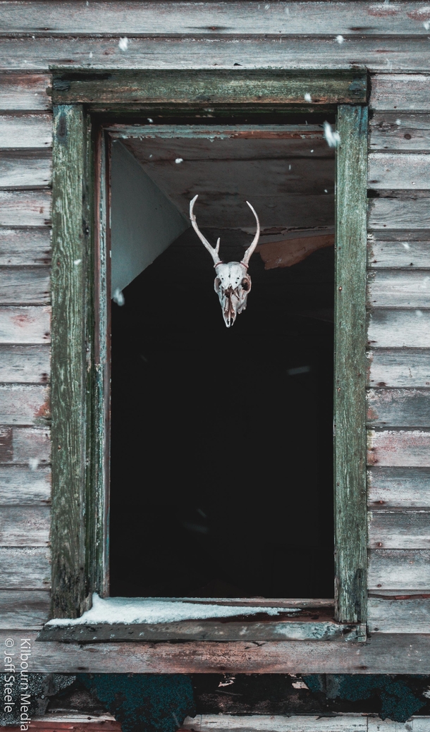 Eccentric owner likes to leave an upstairs light on and hand deer skulls in the windows sometimes