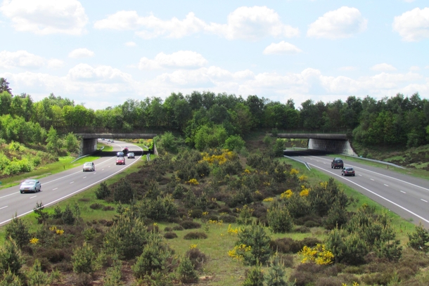 Ecoduct-wildlife crossing in the Netherlands