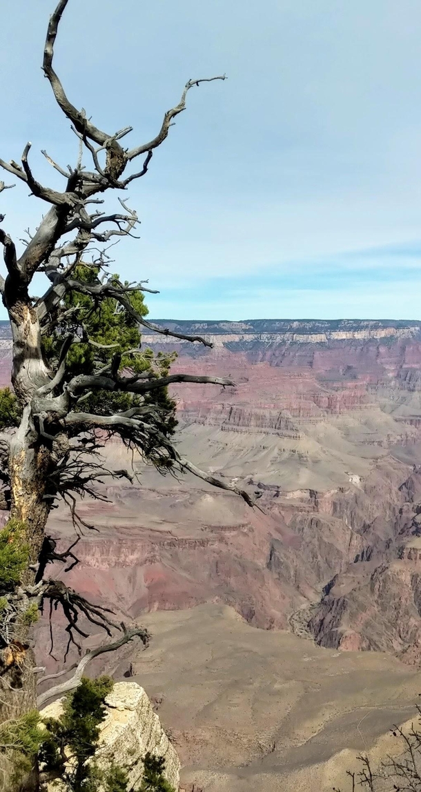 Edge of forever Grand Canyon Arizona 
