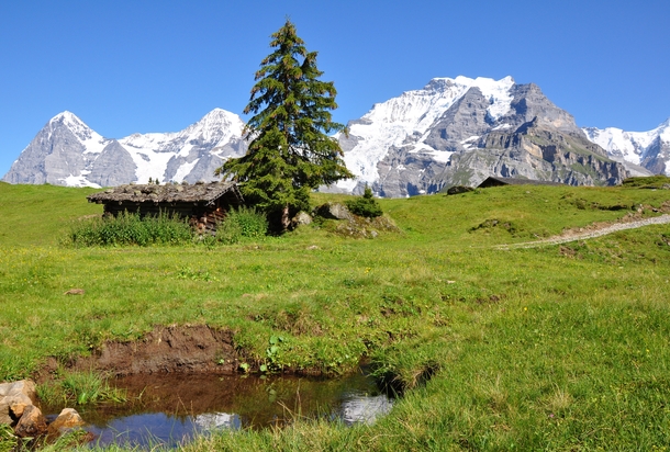 Eiger Mnch and Jungfrau mountains in Switzerland 