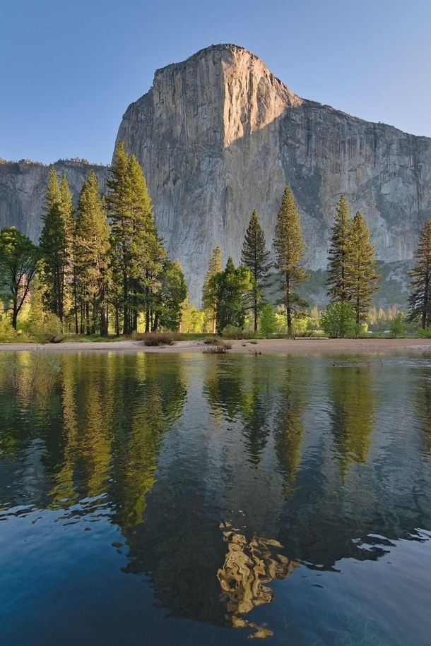 El Capitan towers over Yosemite Valley 