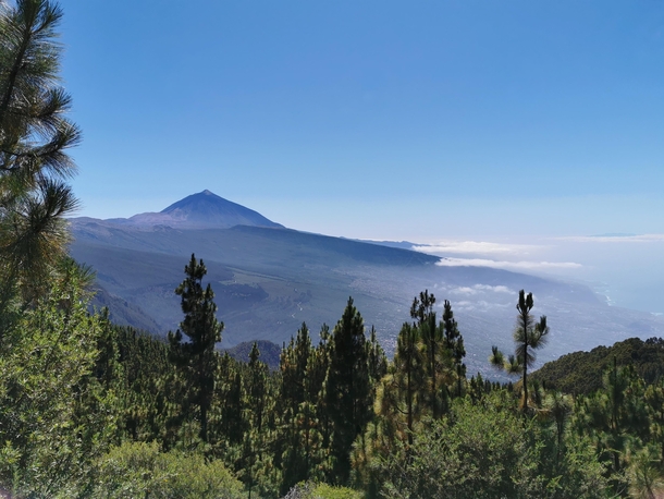 El Teide Tenerife m 