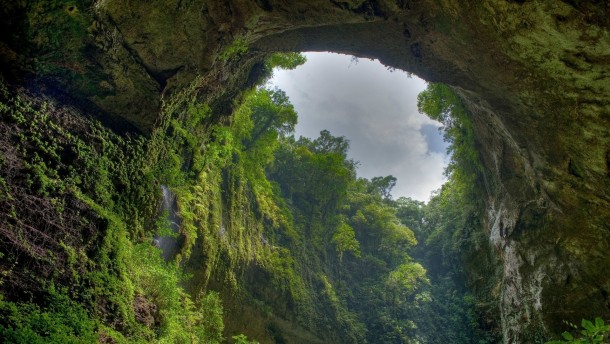 El Yunque Rainforest Puerto Rico 