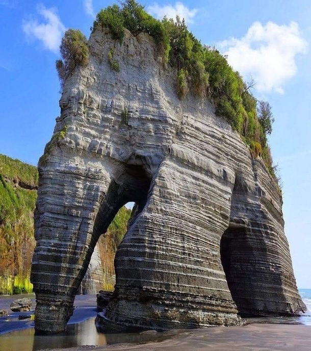 Elephant Rock Tongaporutu Beach New Zealand   