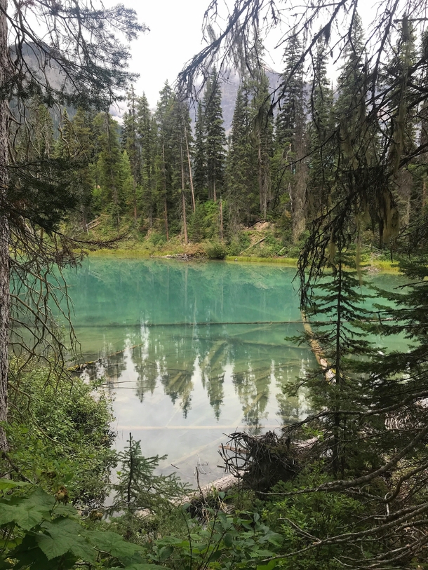 Emerald Lake Yoho National Park British Columbia Canada 