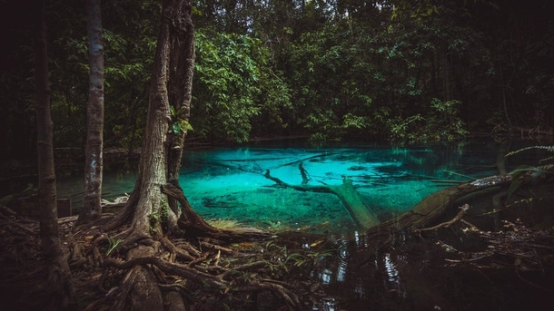 Emerald pool Thailand Krabi
