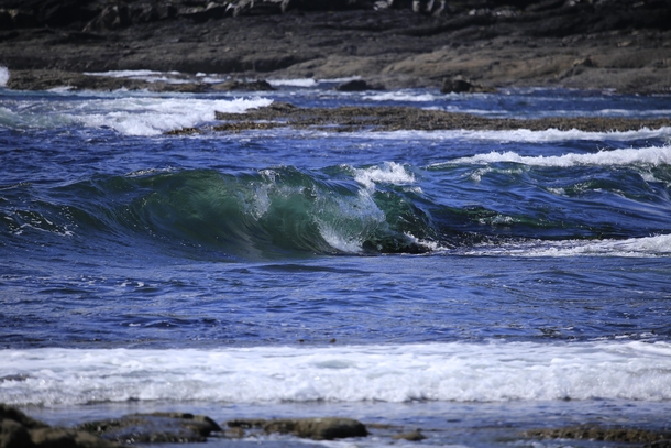Emerald waves X oc Botanical beach Vancouver Island