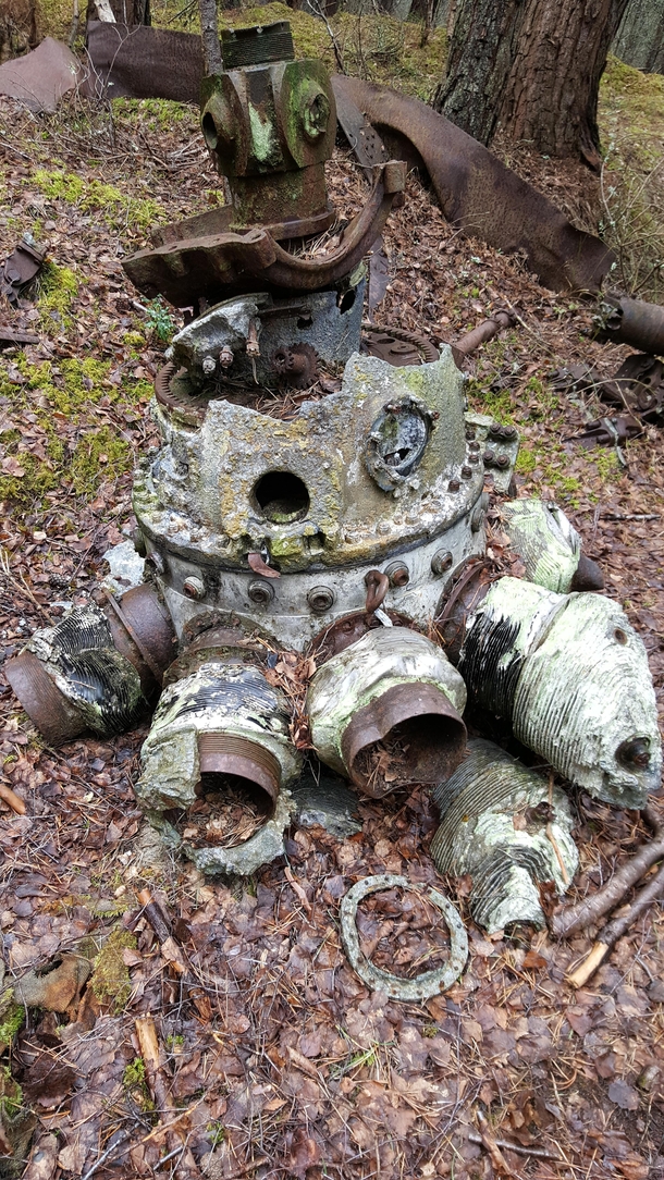 Engine from a Vickers Warwick which crashed in Moray Scotland just after WWII killing both the young pilot and his trainer 