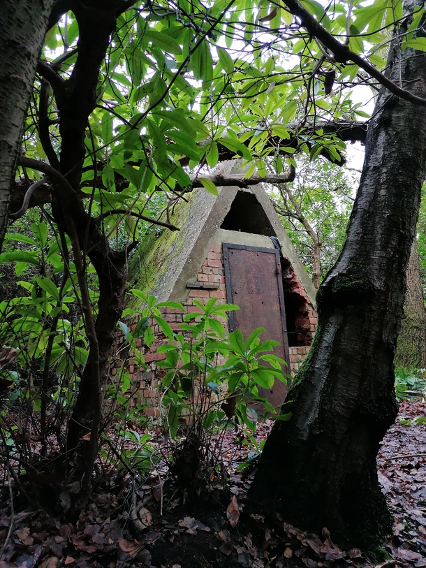 Entrance to abandoned subterranean military bunker in the woods Surrey UK