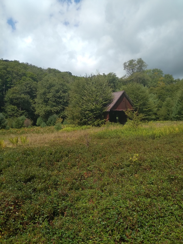 Equipment shed in the Allegheny National Forest