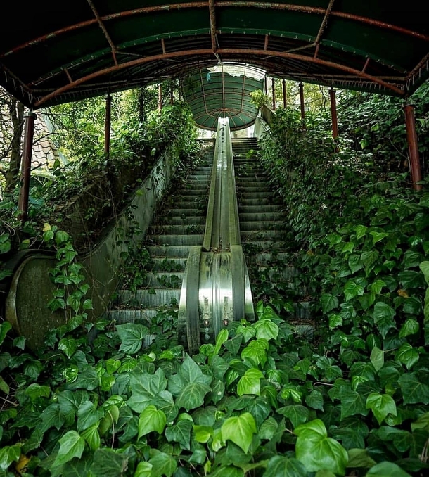 Escalators stopped in time nature takes over it