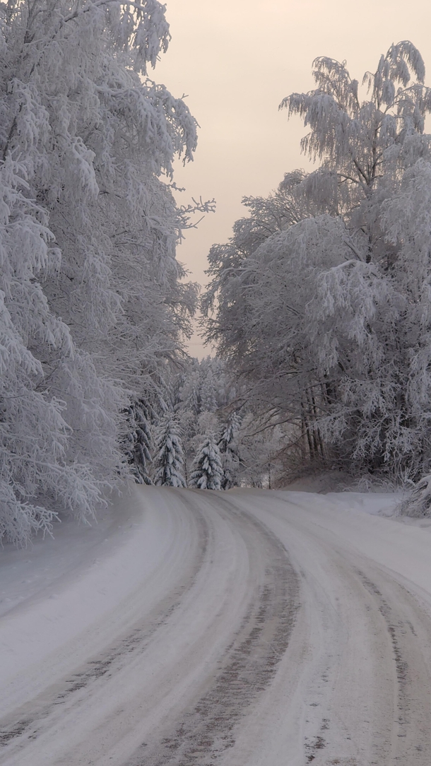 Estonian road