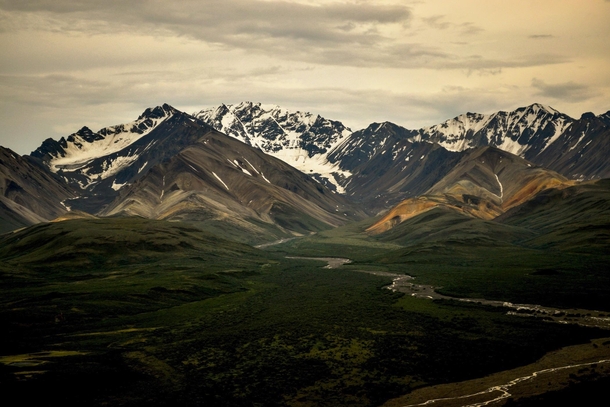 Even dreary weather is good here Denali National Park Alaska 