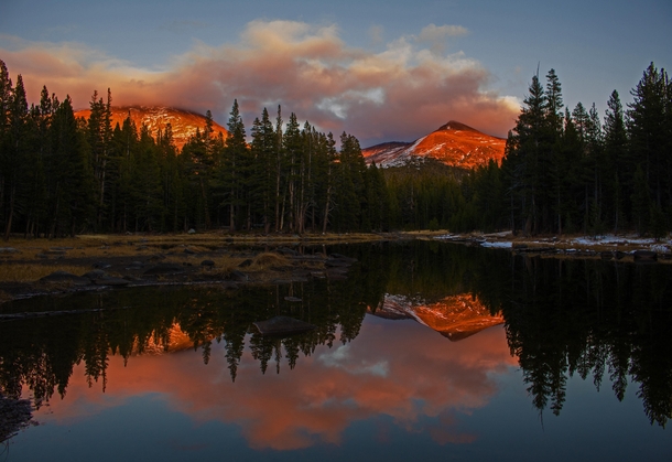 Evening Reflection - Yosemite National Park 